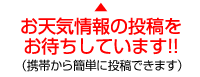 あなたの地域の天気を教えてください